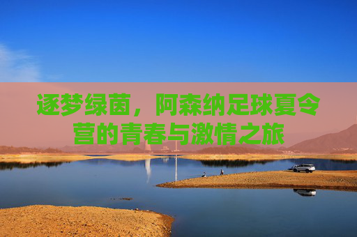 逐梦绿茵,阿森纳足球夏令营的青春与激情之旅