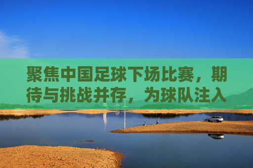 聚焦中国足球下场比赛,期待与挑战并存,为球队注入新活力,中国足球下场比赛,期待与挑战并存,为球队注入新活力