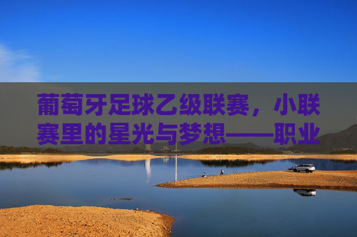 葡萄牙足球乙级联赛,小联赛里的星光与梦想——职业体系中的人才孵化器
