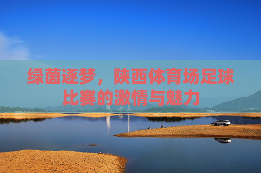 绿茵逐梦，陕西体育场足球比赛的激情与魅力