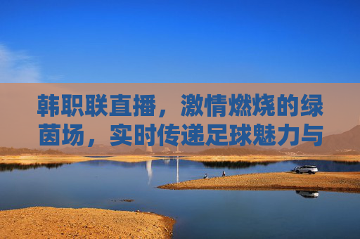 韩职联直播,激情燃烧的绿茵场,实时传递足球魅力与职业精神