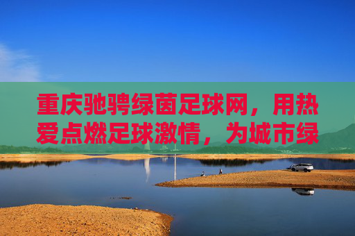 重庆驰骋绿茵足球网，用热爱点燃足球激情，为城市绿茵注入青春活力