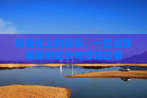 绿茵场上的星辰,一位足球明星的成长与淬炼故事