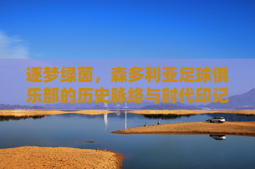 逐梦绿茵,森多利亚足球俱乐部的历史脉络与时代印记,逐梦绿茵,森多利亚足球俱乐部的历史脉络与时代印记