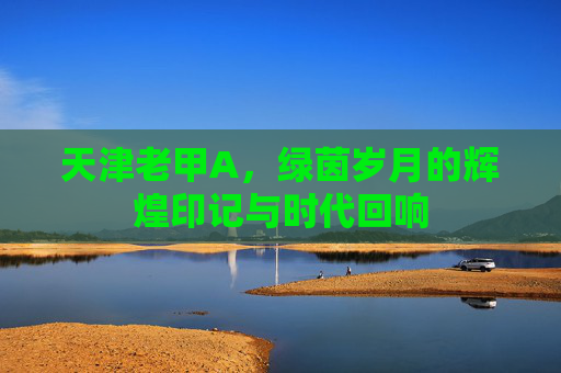 天津老甲A,绿茵岁月的辉煌印记与时代回响