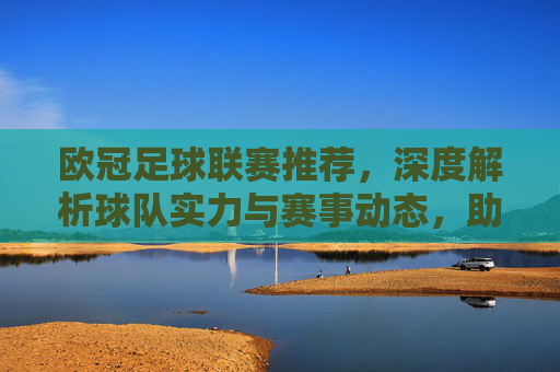 欧冠足球联赛推荐，深度解析球队实力与赛事动态，助你精准捕捉胜算