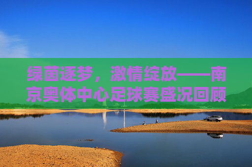 绿茵逐梦，激情绽放——南京奥体中心足球赛盛况回顾，绿茵逐梦，激情绽放——南京奥体中心足球赛盛况回顾