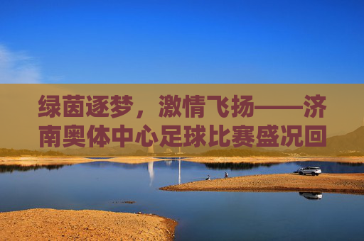绿茵逐梦,激情飞扬——济南奥体中心足球比赛盛况回眸