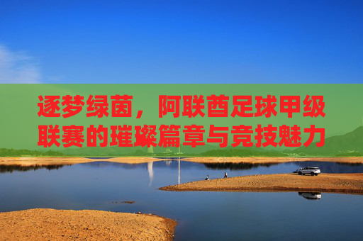 逐梦绿茵，阿联酋足球甲级联赛的璀璨篇章与竞技魅力
