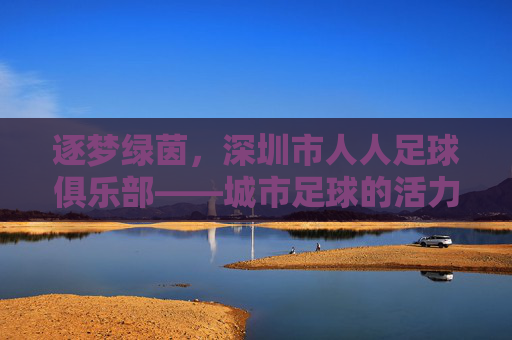 逐梦绿茵，深圳市人人足球俱乐部——城市足球的活力缩影与未来展望