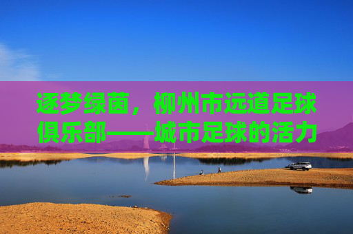 逐梦绿茵,柳州市远道足球俱乐部——城市足球的活力引擎与青训摇篮