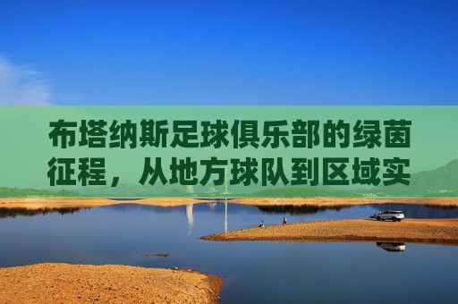 布塔纳斯足球俱乐部的绿茵征程,从地方球队到区域实力的象征