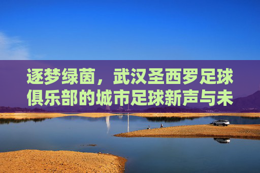 逐梦绿茵,武汉圣西罗足球俱乐部的城市足球新声与未来展望,逐梦绿茵,武汉圣西罗足球俱乐部的城市足球新声与未来展望
