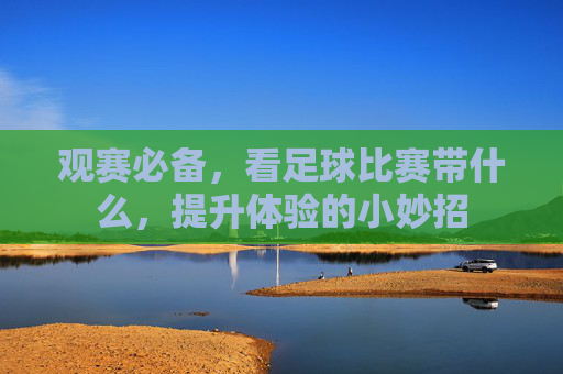 观赛必备,看足球比赛带什么,提升体验的小妙招