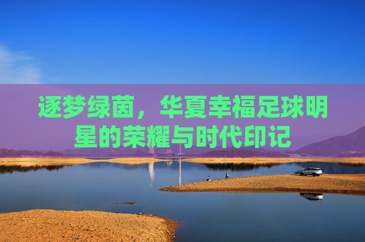 逐梦绿茵，华夏幸福足球明星的荣耀与时代印记