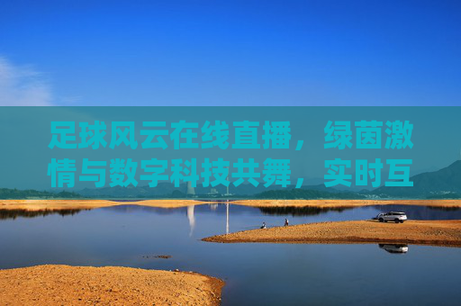 足球风云在线直播，绿茵激情与数字科技共舞，实时互动点燃全民观赛热情