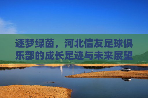 逐梦绿茵,河北信友足球俱乐部的成长足迹与未来展望