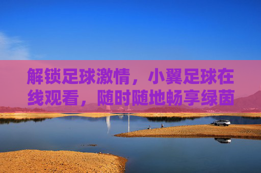 解锁足球激情,小翼足球在线观看,随时随地畅享绿茵盛宴,解锁足球激情,小翼足球在线看,随时随地畅享绿茵盛宴