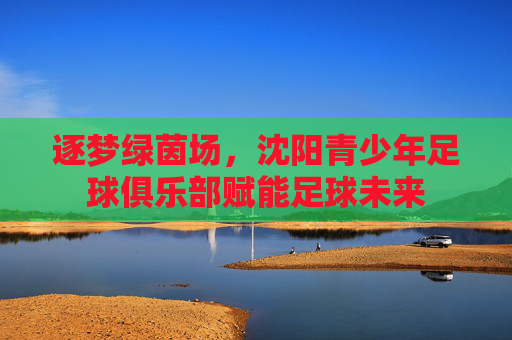 逐梦绿茵场,沈阳青少年足球俱乐部赋能足球未来