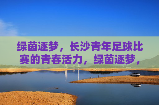 绿茵逐梦，长沙青年足球比赛的青春活力，绿茵逐梦，长沙青年足球比赛的青春活力