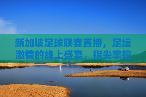 新加坡足球联赛直播，足坛激情的线上盛宴，指尖掌控绿茵风云