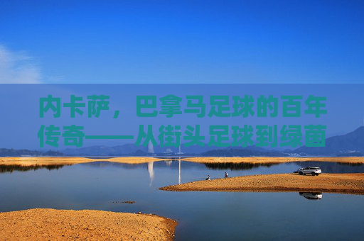 内卡萨,巴拿马足球的百年传奇——从街头足球到绿茵王者的淬炼之路