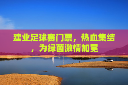 建业足球赛门票,热血集结,为绿茵激情加冕