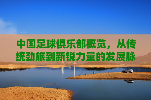 中国足球俱乐部概览,从传统劲旅到新锐力量的发展脉络,中国足球俱乐部发展概览,传统劲旅与新锐力量的演进轨迹
