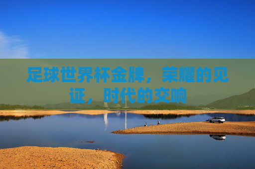 足球世界杯金牌,荣耀的见证,时代的交响