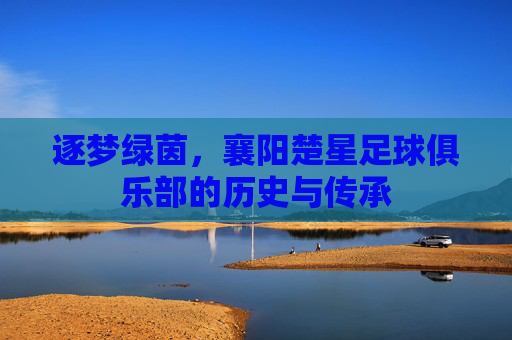 逐梦绿茵，襄阳楚星足球俱乐部的历史与传承