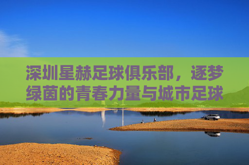 深圳星赫足球俱乐部，逐梦绿茵的青春力量与城市足球新声，深圳星赫足球俱乐部，逐梦绿茵的青春力量与城市足球新声