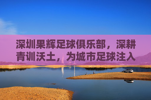 深圳果辉足球俱乐部，深耕青训沃土，为城市足球注入青春力量