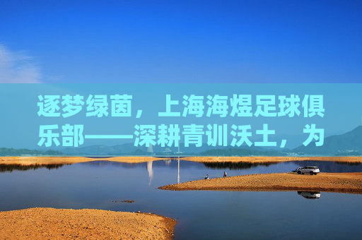 逐梦绿茵，上海海煜足球俱乐部——深耕青训沃土，为足球未来注入青春力量