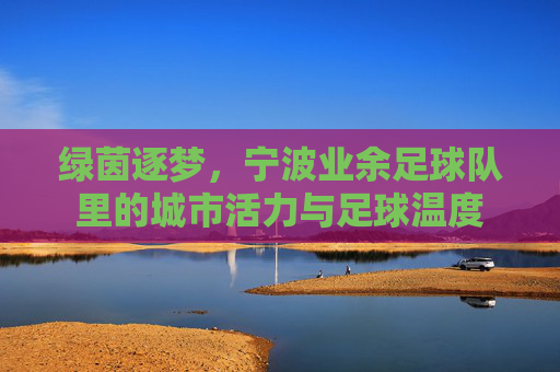 绿茵逐梦，宁波业余足球队里的城市活力与足球温度