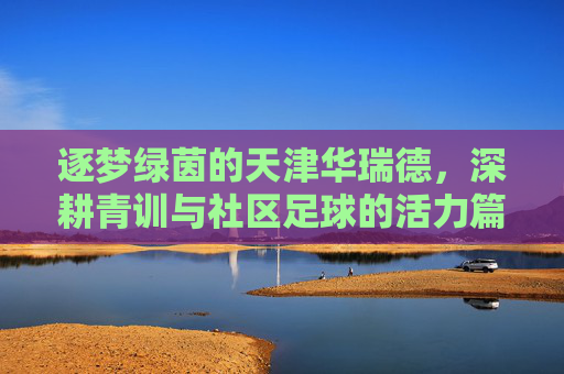 逐梦绿茵的天津华瑞德，深耕青训与社区足球的活力篇章，逐梦绿茵的天津华瑞德，深耕青训与社区足球的活力篇章