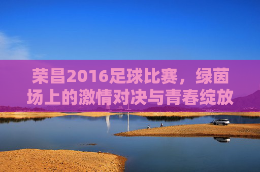 荣昌2016足球比赛，绿茵场上的激情对决与青春绽放，荣昌2016足球比赛，绿茵场上的激情对决与青春绽放