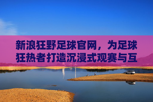 新浪狂野足球官网，为足球狂热者打造沉浸式观赛与互动新体验