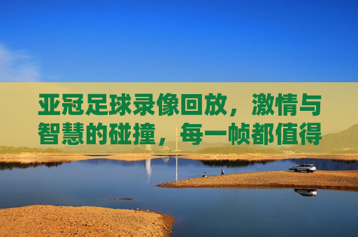 亚冠足球录像回放,激情与智慧的碰撞,每一帧都值得细细品味