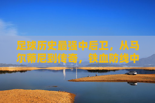足球历史最强中后卫，从马尔蒂尼到传奇，铁血防线中的智慧标杆，足球历史最强中后卫，从马尔蒂尼到传奇，铁血防线中的智慧标杆