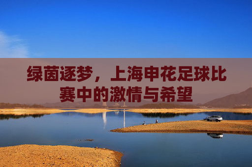 绿茵逐梦,上海申花足球比赛中的激情与希望