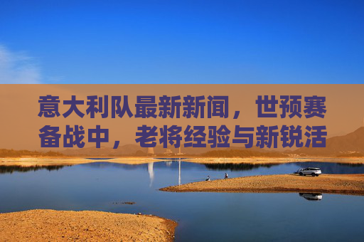 意大利队最新新闻，世预赛备战中，老将经验与新锐活力碰撞，战术调整成焦点，意大利世预赛备战，老将经验与新锐碰撞，战术调整成焦点