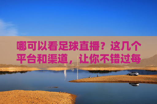 哪可以看足球直播？这几个平台和渠道，让你不错过每一场精彩赛事