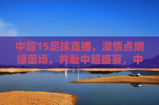 中超15足球直播,激情点燃绿茵场,共赴中超盛宴,中超15足球直播,激情点燃绿茵场,共赴中超盛宴