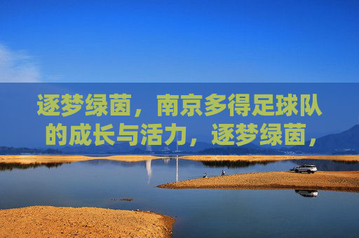 逐梦绿茵，南京多得足球队的成长与活力，逐梦绿茵，南京多得足球队的成长与活力