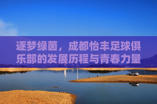 逐梦绿茵，成都怡丰足球俱乐部的发展历程与青春力量，逐梦绿茵，成都怡丰足球俱乐部的发展历程与青春力量