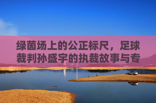 绿茵场上的公正标尺，足球裁判孙盛宇的执裁故事与专业坚守，绿茵场上的公正标尺，足球裁判孙盛宇的执裁故事与专业坚守