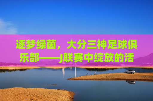 逐梦绿茵,大分三神足球俱乐部——J联赛中绽放的活力与希望,逐梦绿茵,大分三神足球俱乐部——J联赛中绽放的活力与希望