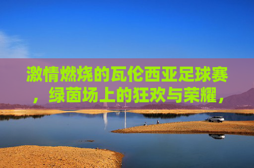 激情燃烧的瓦伦西亚足球赛，绿茵场上的狂欢与荣耀，激情燃烧的瓦伦西亚足球赛，绿茵场上的狂欢与荣耀