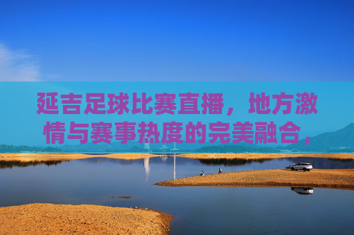 延吉足球比赛直播,地方激情与赛事热度的完美融合,延吉足球比赛直播,地方激情与赛事热度的完美融合