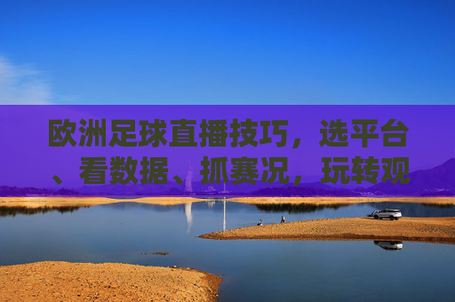 欧洲足球直播技巧，选平台、看数据、抓赛况，玩转观赛体验，欧洲足球直播技巧，选平台、看数据、抓赛况，玩转观赛体验